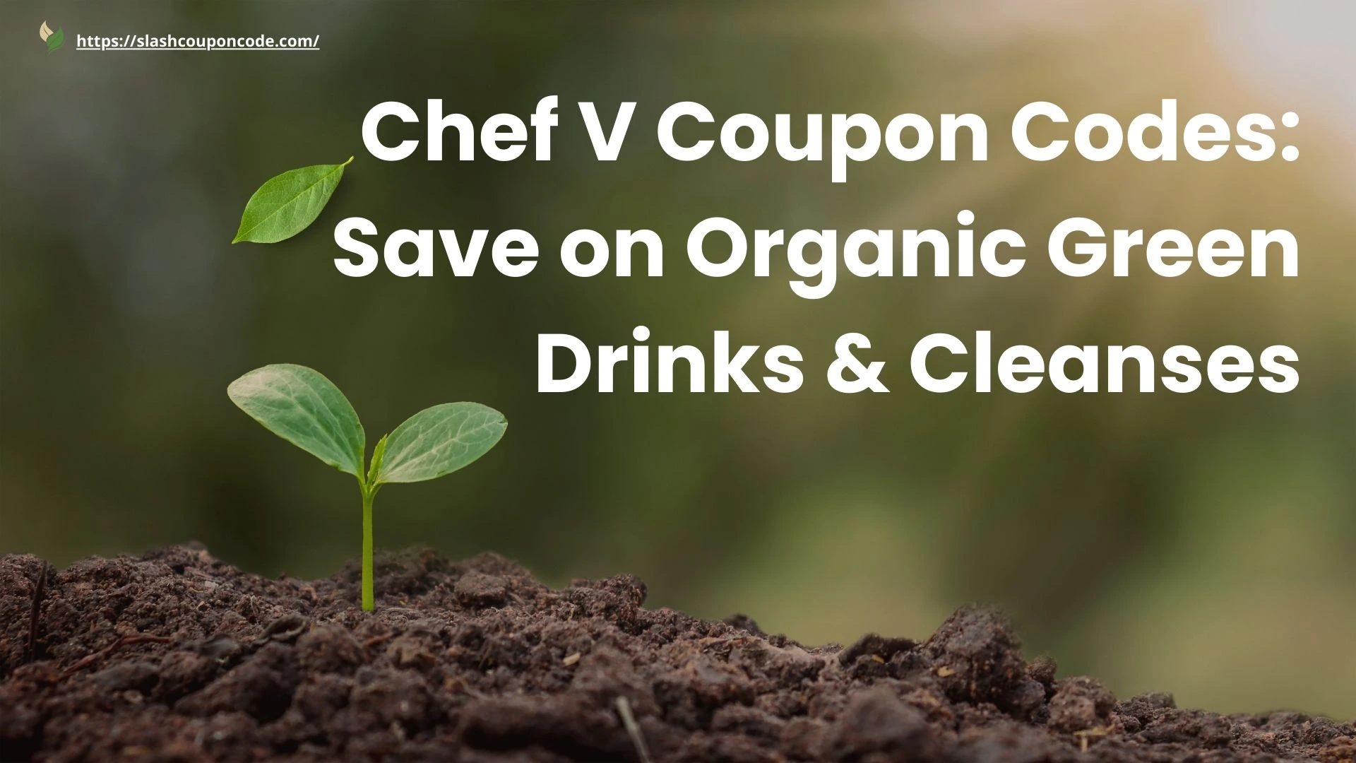 Chef V Coupon Codes