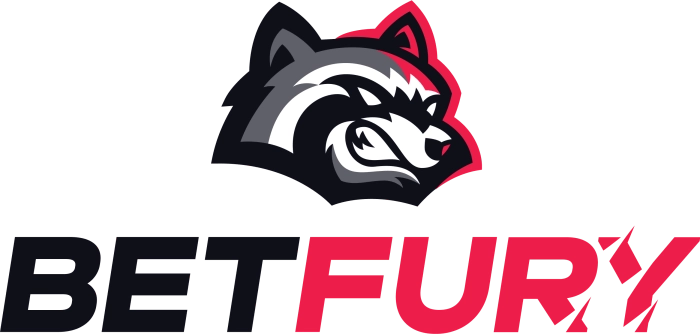 BetFury logo